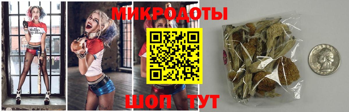 Галлюциногенные грибы ЛСД Камень-на-Оби