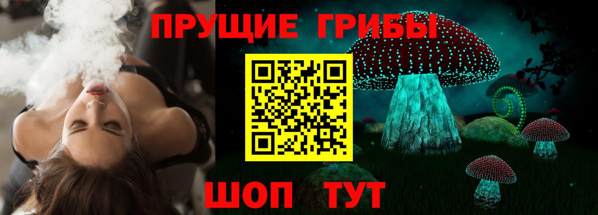Камень-на-Оби  Галлюциногенные грибы мицелий  Вход с VPN 